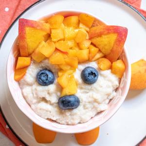 Recette du porridge renard