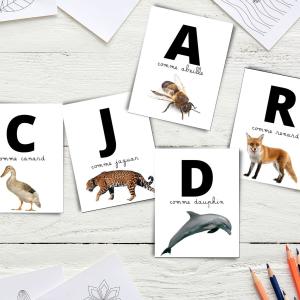 abécédaire des animaux