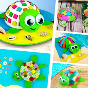 Tortues : nos activités