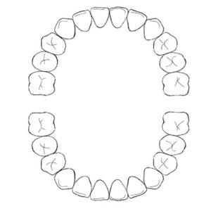 Compter les dents