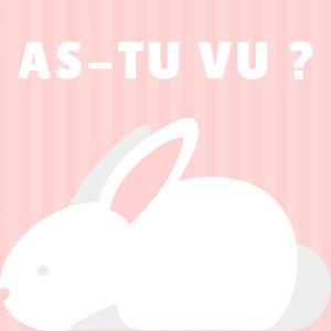 Poésie "As-tu vu ? " pour lire avec les enfants. texte version à colorier.