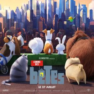 Bande annonce, infos et affiche du film : Comme des bêtes. Un film idéal pour un moment de détente en famille. Comme des bêtes est un film drôle qui nous montre la vie secrète de nos animaux de compag