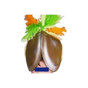 casque conquistador