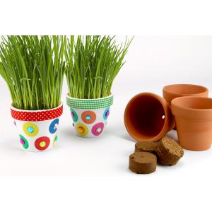 Dans cette activité nous allons décorer des pots en terre afin d'y faire pousser de la ciboulette. Un atelier créatif nature qui plaira aux petits comme aux grands !