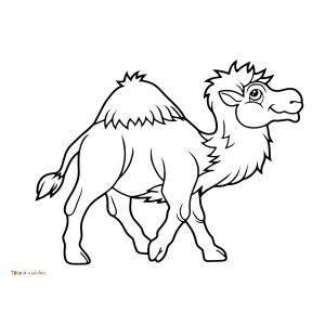 Retrouvez un coloriage de dromadaire et imprimez un dessin de dromadaire pour tous les petits amoureux de ces animaux du désert - Page 01