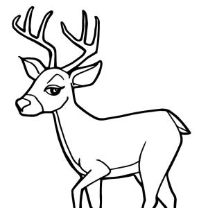 Coloriage d'un cerf adorable