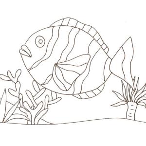 Imprimer et colorier le dessin d'un gros poisson clown Imprimer et colorier le dessin d'un gros poisson clown