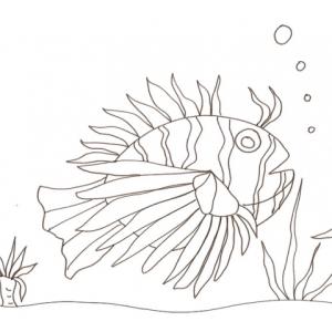 Imprimer le coloriage d'un gros poisson herisson Imprimer le coloriage d'un gros poisson herisson