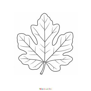 Téléchargez gratuitement ce coloriage de feuille de figuier. Un dessin réaliste parfait pour découvrir les arbres et les plantes.