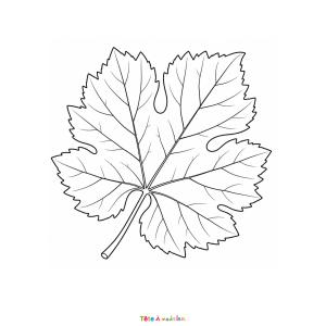 Découvrez ce coloriage gratuit de feuille de vigne à imprimer. Un dessin parfait pour l'automne et les vendanges.