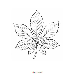 Téléchargez gratuitement ce coloriage d'une feuille de châtaignier à imprimer pour découvrir les arbres de l'automne.