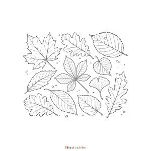 Imprimez gratuitement ce coloriage de feuilles mortes. De jolies feuilles d'automne à colorier pour enfants en PDF.