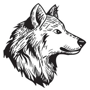 Retrouvez un coloriage de loup facile et imprimez un dessin aux enfants qui aiment ces animaux