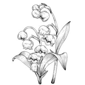 Coloriage muguet : un dessin avec du muguet à imprimer pour la fête du travail et le 1er mai. Page 1