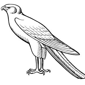 Coloriage rapace : voici un dessin à imprimer avec une joli rapace. Un coloriage à imprimer sur le thème des oiseaux  - Page 02