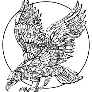 Coloriage rapace : voici un dessin à imprimer avec une joli rapace. Un coloriage à imprimer sur le thème des oiseaux  - Page 04