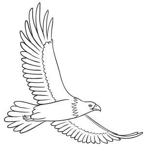 Coloriage rapace : voici un dessin à imprimer avec une joli rapace. Un coloriage à imprimer sur le thème des oiseaux  - Page 10