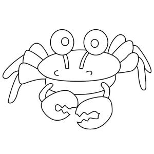 Dessins pour le coloriage des coquillages, mollusques, crustacés, homard et autres animaux invertébrés de la mer.