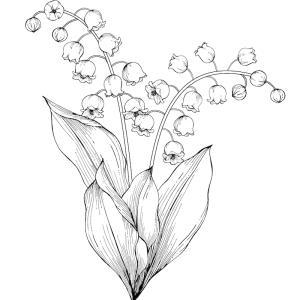 Des dessins de fleurs et de brins de muguet à imprimer pour que les enfants puissent s’amuser à colorier le muguet du 1er mai. Et oui le muguet s’offre aussi en coloriage le 1er mai jour de la fête du