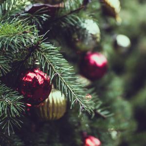 Ça y est ! Vous l’avez enfin acheté, votre beau sapin naturel pour Noël ! Maintenant qu’il a sa place dans la maison, voici quelques astuces ...