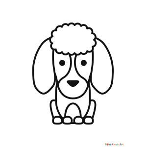 Coloriage d'un caniche kawaii