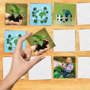 Memory de la journée de la Terre