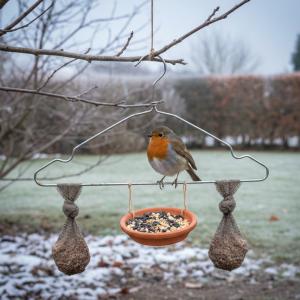 Ne le jetez plus : ce vieux cintre peut vraiment aider les oiseaux à passer l’hiver