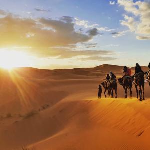 desert - mot du glossaire Tête à modeler. Définition et activités associées au mot desert.