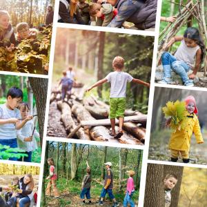 TOP 50 des activités manuelles et autres jeux sur le thème de la forêt