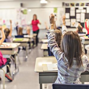 Ecole - mot du glossaire Tête à modeler. Définition et activités associées au mot Ecole.