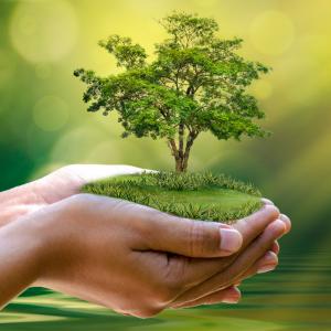 Ecologie et environnement : la sauvegarde la planète - Un dossier pour premettre aux parents de comprendre et d'expliquer l'écologie à leurs enfants. L'écologie au sens le plus large est l'affaire de 