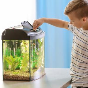 Exemple d'un écosystème miniature : l'aquarium, un exemple d'écosystème. Comprendre ce qu'est un écosystème est une chose, mais savoir l'expliquer à son enfant n'est pas toujours