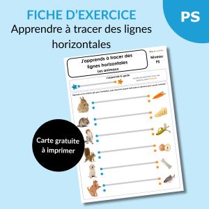 Tracer des lignes horizontales en PS avec les animaux : une activité ludique et efficace