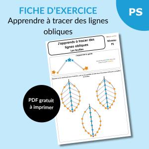 Apprendre à tracer des lignes obliques en PS : compléter des feuilles pas à pas