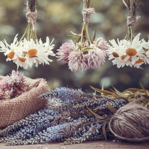 Apprendre à faire des fleurs séchées