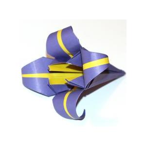 Retrouvez toutes nos idées de pliages origami pour réaliser des fleurs facilement. Les fleurs origami peuvent être réalisées avec des feuilles de papier de recyclage ou de beaux papiers pour origami.