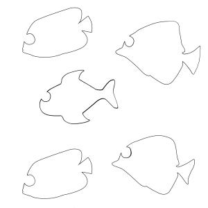 Gabarit des poissons multicolores