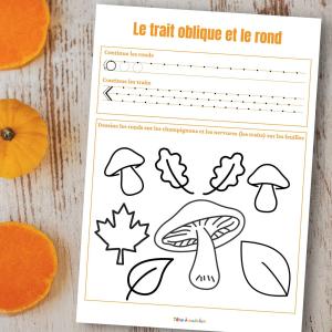 graphisme ronds et traits