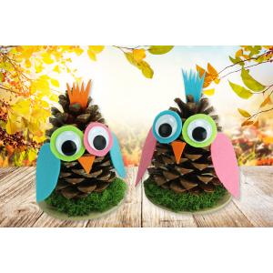 Un bricolage amusant à faire avec les enfants cet automne.Pour fabriquer ces hiboux les enfants utiliseront simplement une pomme de pin, un peu de feutrine et quelques accessoires.Une activité