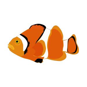 Un poisson aux couleurs claires à imprimer pour préparer les farces du 1 er avril. Une image d'un Poisson aux couleurs claires pour les poissons du premier avril