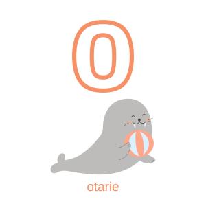 Imprimer la planche imagier minuscule "o" comme otarie pour créer un imagier pour les enfants