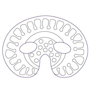 Imprimer le modèle du masque de fleur pour le déguisement des enfants , masque à colorier et à découper