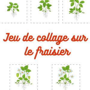 Un jeu à faire avec les enfants pour mieux connaître le cycle de vie et de croissance du fraisier. Nous vous proposons d'imprimer le jeu de vignettes sur le cycle de vie du fraisier, de demander à vot