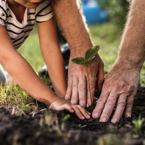 Définition du vivant : La définition du vivant sur le plan biologique est basée sur 2 critères essentiels ; est vivant tout ce qui peut se constituer en construisant sa propre matière vivante et qui e