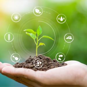 La terre est une système autonome capable de se recycler pour assurer la vie. L'écologie est aussi l'étude de la terre en tant qu'écosystème. La terre est un écosystème g&eac