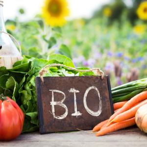 L'Agriculture Biologique c'est d'abord une façon de penser l’agriculture comme  un mode production de se rapprocher au maximum des conditions naturelles de vie des plantes et de vie des animaux. L’Agr