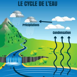 Le cycle naturel de l'eau. L'eau circule sur la terre en suivant un cycle de transformation en 3 grandes étapes : l'évaporation, condensation et les précipitations. Un article pour comprendre comment 