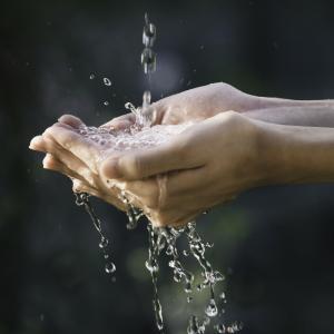 L'eau est indispensable à la vie, sans elle il n'y aurait aucune vie possible sur terre. Le constat est simple, tous les êtres vivants ont besoin d'eau pour exister, la terre étant, à ce jour, la seul
