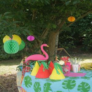 Toutes les activités du buffet tropical