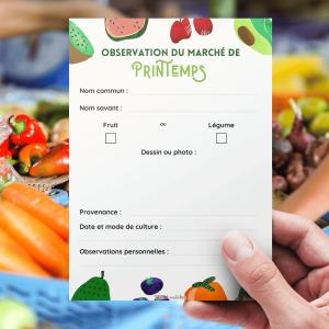 Activité sur les légumes du marché de printemps, un bricolage pour partir à la découverte des légumes de saison : leur forme, leur couleur, leur nom ou leurs caractéristiques